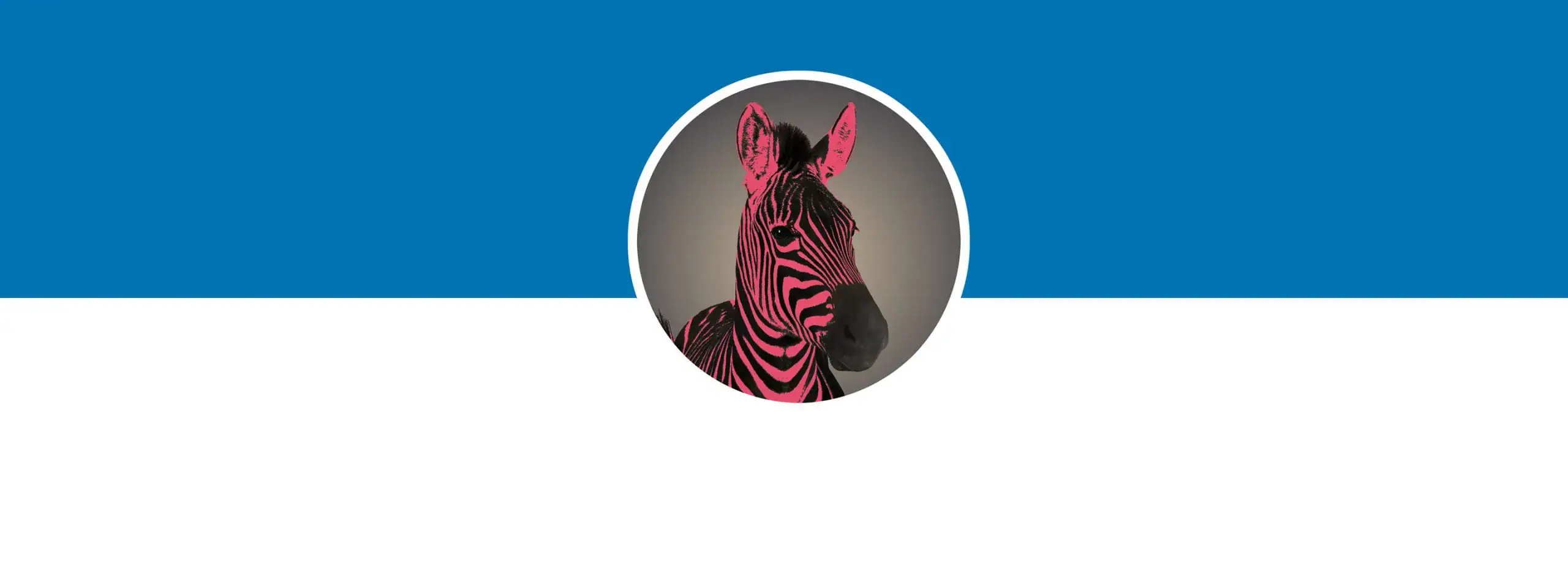 En LinkedInprofilbild p&aring; en zebra